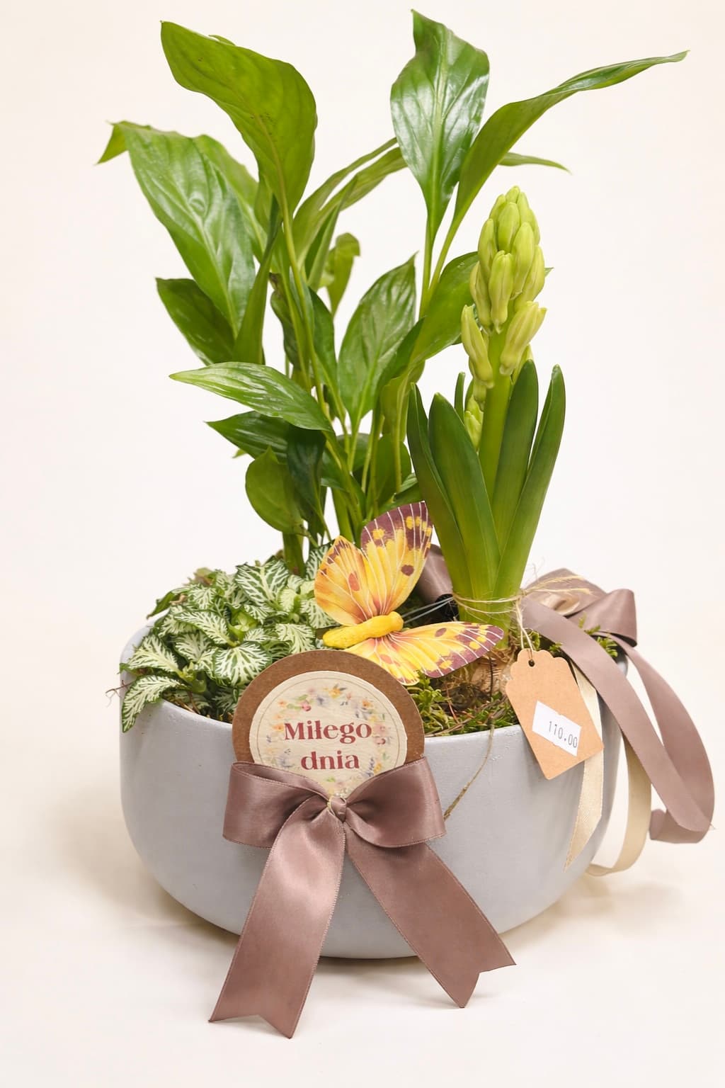 Nasadzenia w naczyniu